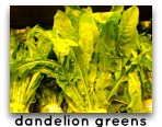 dandelion greens