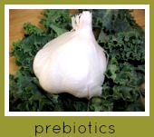 prebiotics