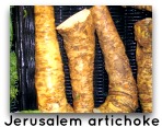 Jerusalem artichoke