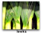 leek