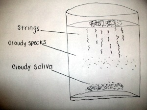 candida saliva test pictures