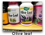 olive leaf for yeast infection picture