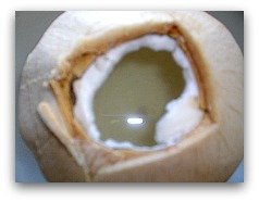 coconut meat and water